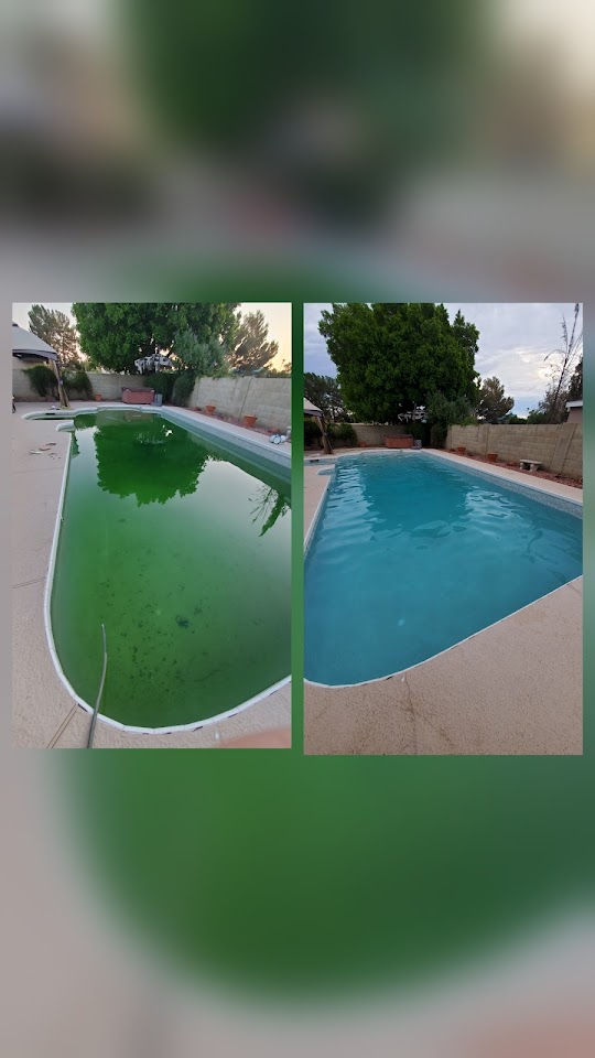 Blue Saguaro Pool Service LLC project